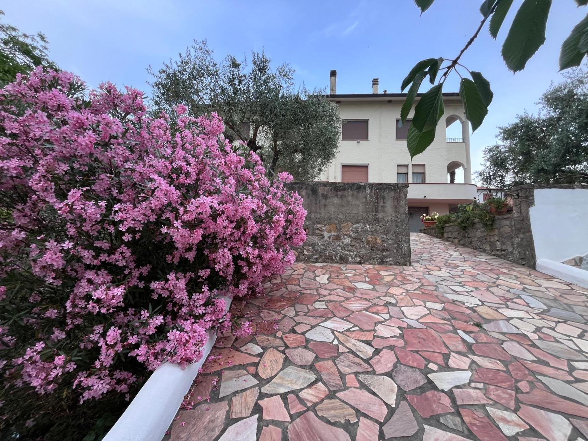 Apartamento Casa Di Katia Collesalvetti Exterior foto